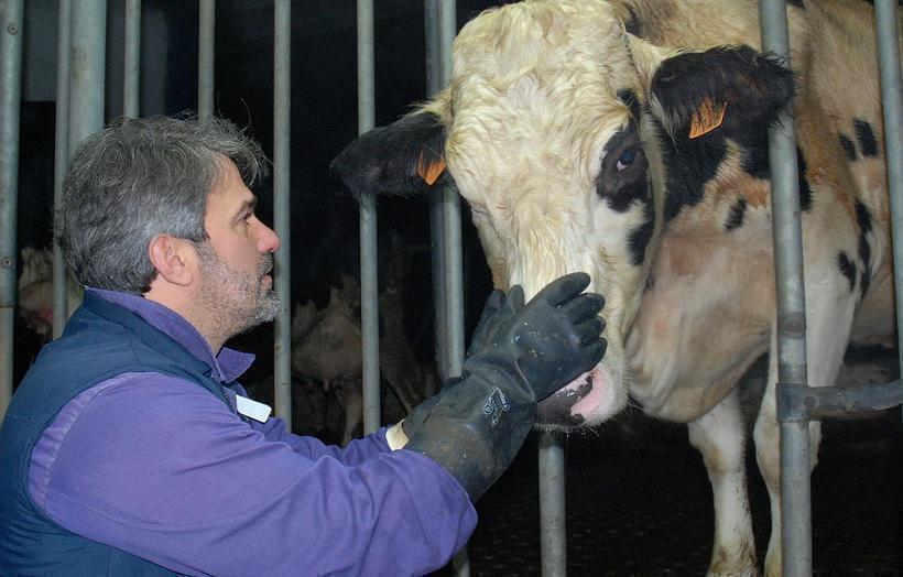 Ανειδίκευτος εργάτης: Ο Σπύρος Χαριτάτος σε Φάρμα Αγελάδων (trailer)