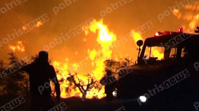 Ολονύχτια μάχη με τις φλόγες στην Ηλεία – Σε ύφεση τώρα η φωτιά