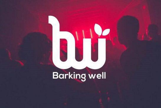 BarkingWell Media: Προχώρησε σε αύξηση μετοχικού κεφαλαίου