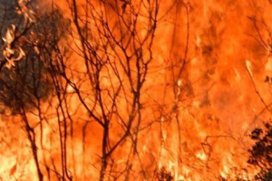 Δύο φωτιές σε δασικές εκτάσεις στη Νέα Μάκρη – Απειλούνται σπίτια
