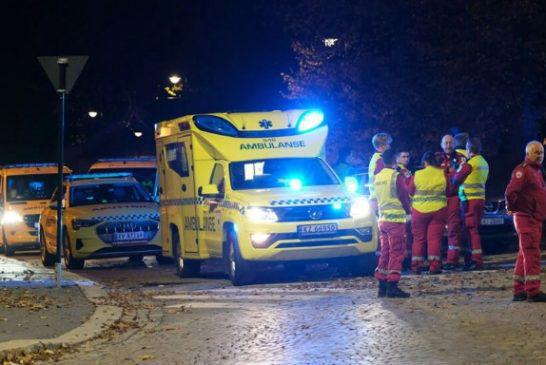 Τοξοβόλος σκόρπισε τον θάνατο στην Νορβηγία! – Πληροφορίες για δεκάδες νεκρούς (Εικόνες-Βίντεο)