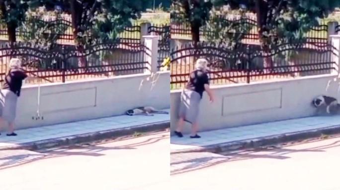 Απαράδεκτη ηλικιωμένη πετάει το μπαστούνι της σε σκυλάκι που κοιμάται στη σκιά