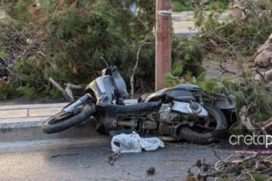 Κρήτη: Βίντεο-ντοκουμέντο από την πτώση του δέντρου που σκότωσε τον 51χρονο