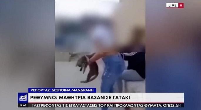 Κρήτη: Σάλος με την ανήλικη που κλώτσησε γάτα – Το πρόστιμο που της επιβλήθηκε