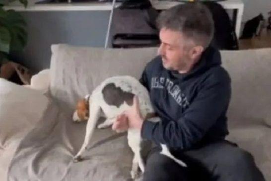 Μιχάλης Χατζηγιάννης: Το τρυφερό βίντεο με τη σκυλίτσα του που δεν μπορεί να περπατήσει